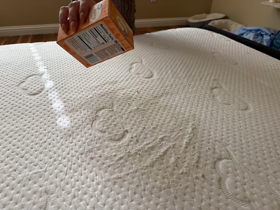 An image illustrating a woman applying baking soda to a urine soaked mattress.