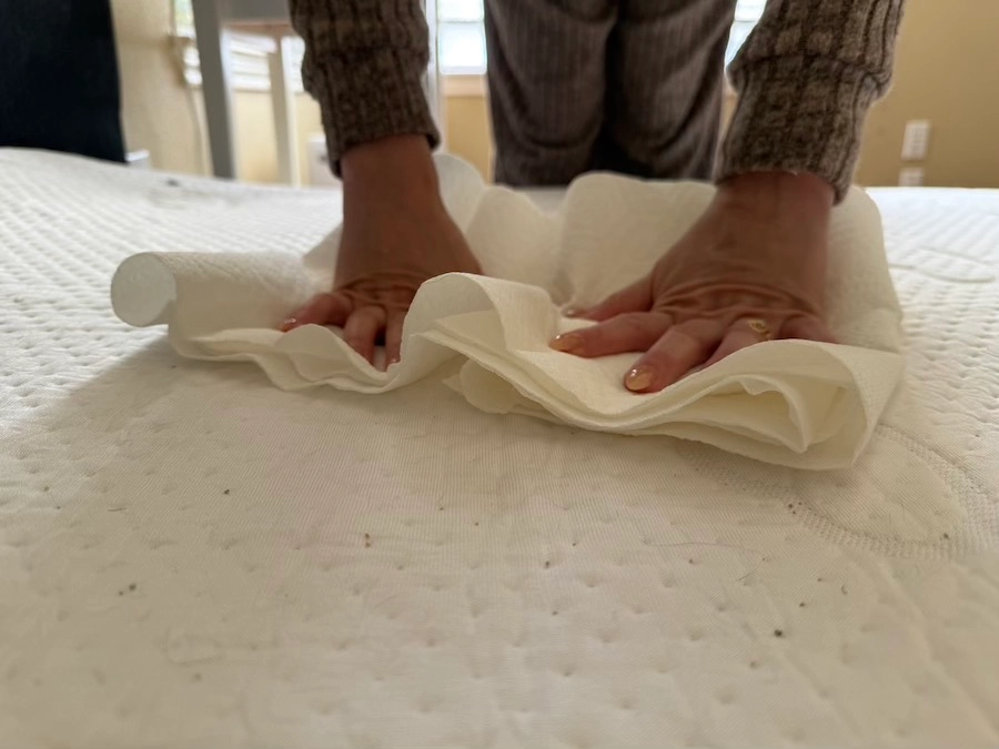 An image illustrating a woman blotting the urine on a stained mattress.
