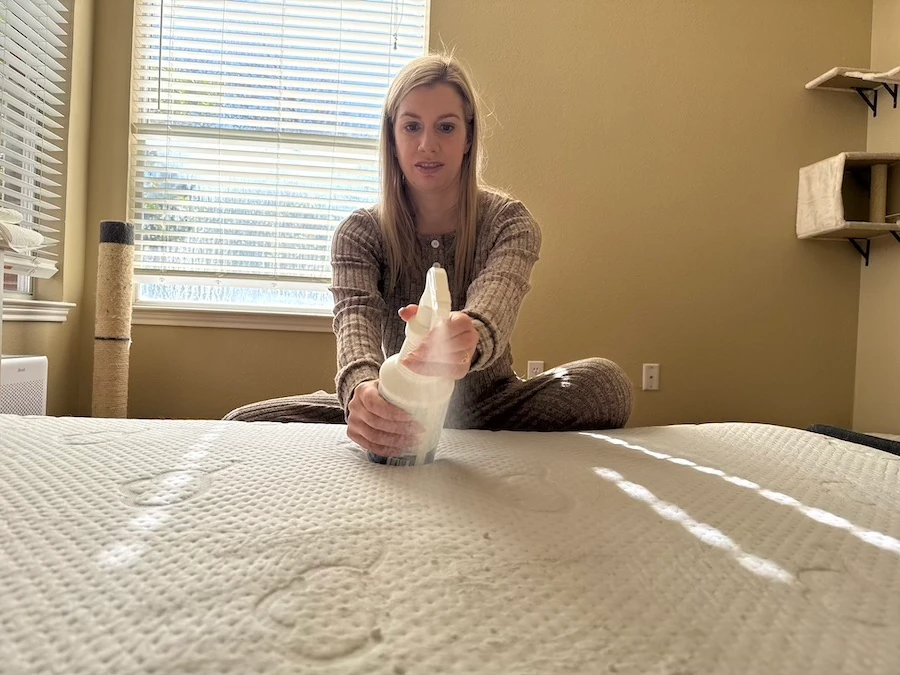 An image illustrating a woman spraying vinegar onto a urine stained mattress.