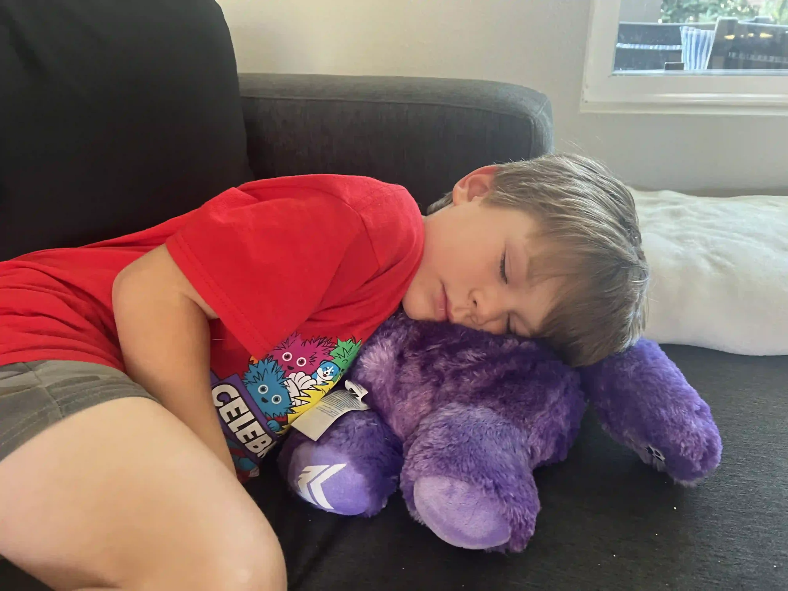 Child napping with a stuffed animal to illustrate sleep needs for children